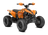 2027 Can-Am Renegade EFI: Youth & Kids ATV