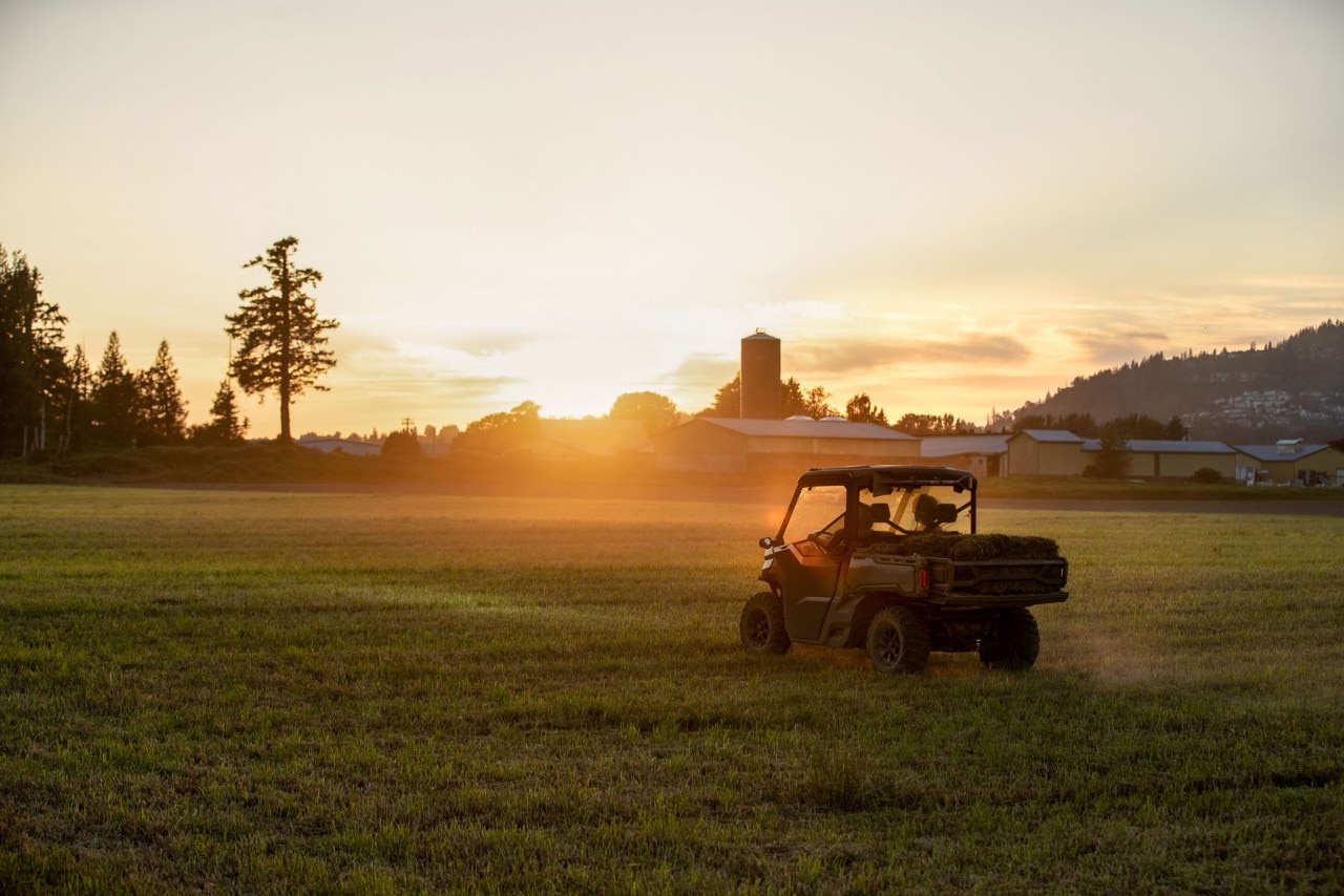 Defender in the sunset