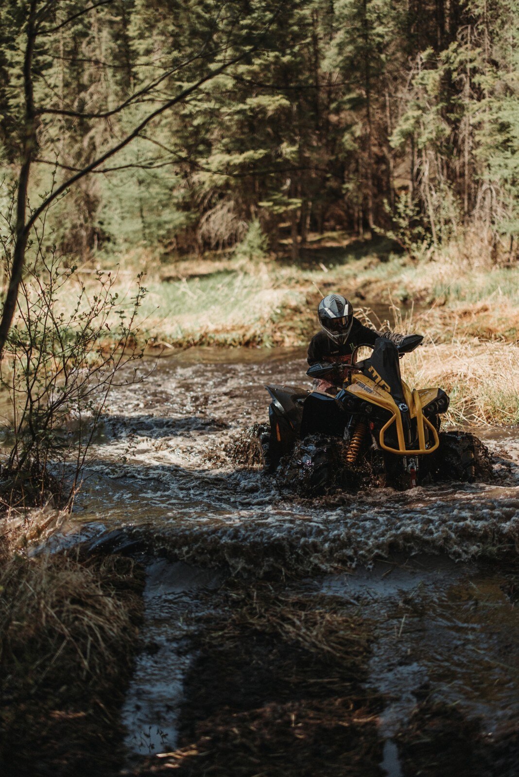 Renegade submerged in water